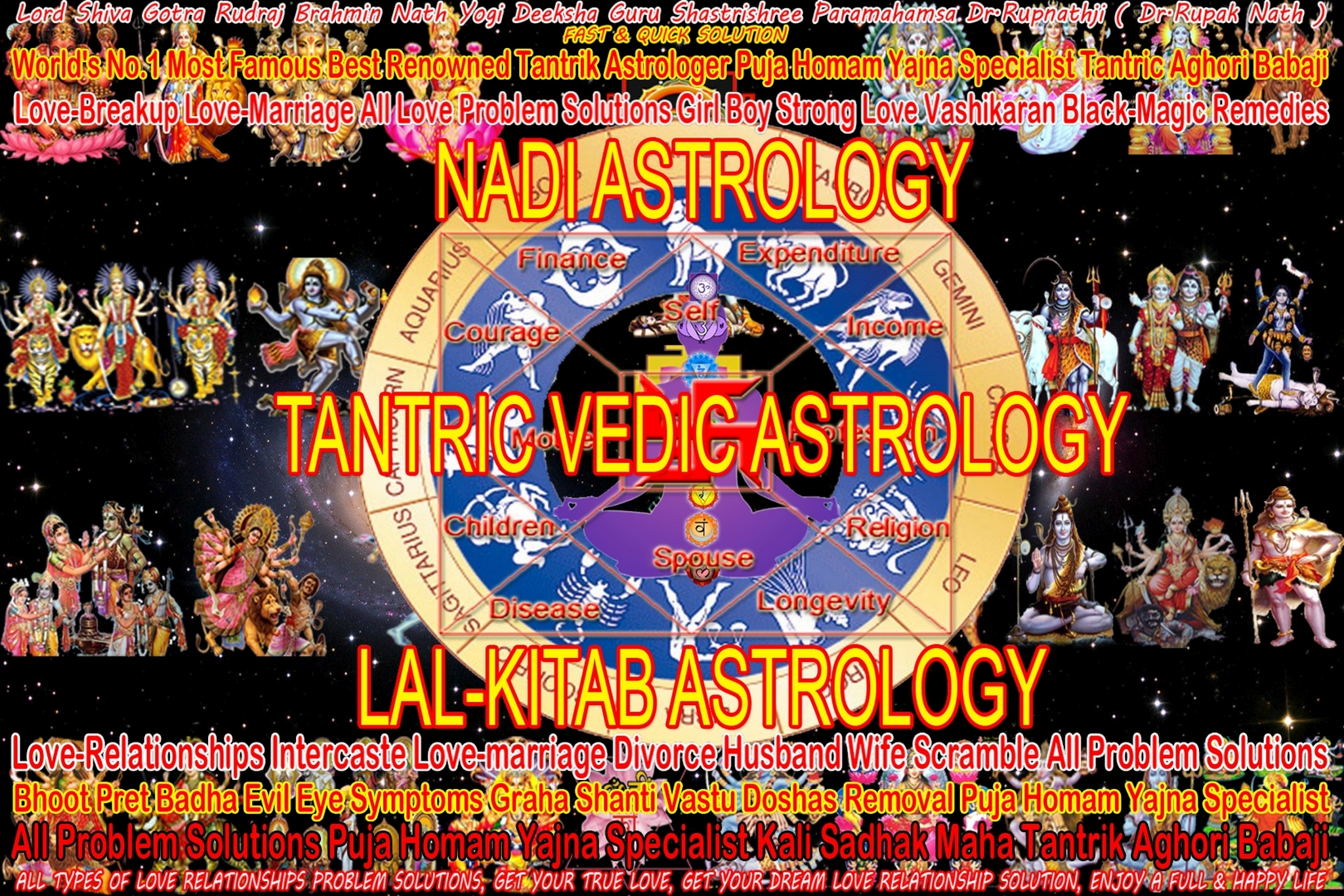 vedic astrology predictions