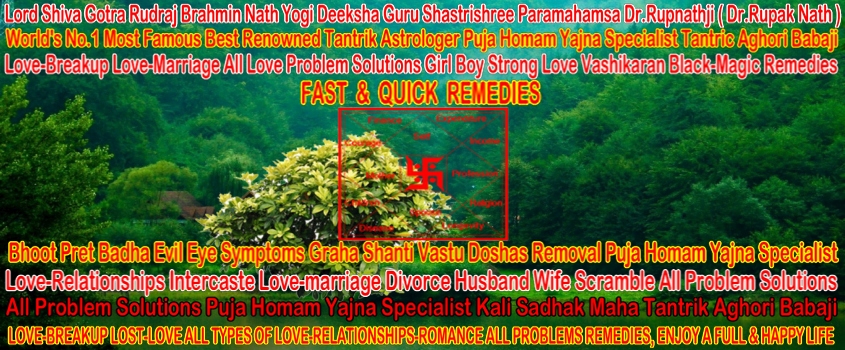 just a single call and solve your problems by guru ji
