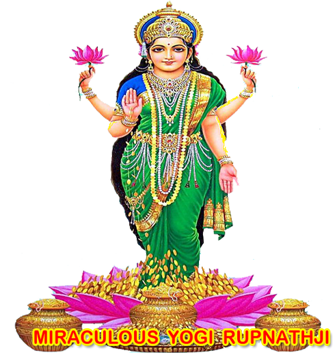 love guru astrologer