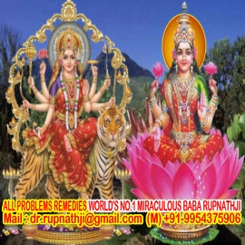 puja remedies call divine miraculous deeksha guru mahapurush rupnathji