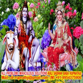 remedies call divine miraculous spiritual deeksha guru rupnathji