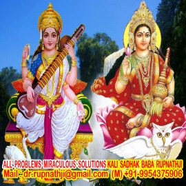 solve your all problems by worlds no 1 astrologer tantrik