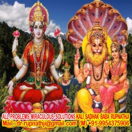 bagalamukhi astrologer tantrik remedies