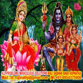 dashamahavidya tantra specialist dashamahavidya tantra remedies by worlds no 1 astrologer