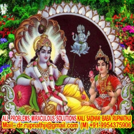 famous astrologer tantrik dr rupnathji