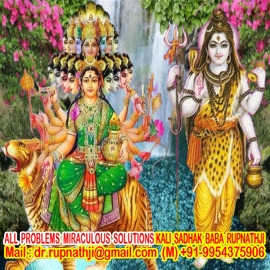 indian vedic astrology tantra remedies by worlds no 1 astrologer tantrik vastu expert