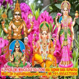 vashikaran black magic specialist worlds no 1 astrologer tantrik vastu expert