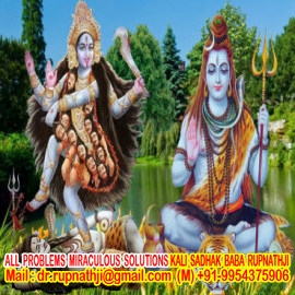 vashikaran specialist vedic astrologer tantrik baba