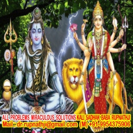 vashikaran specialist vedic astrologer tantrik baba ji