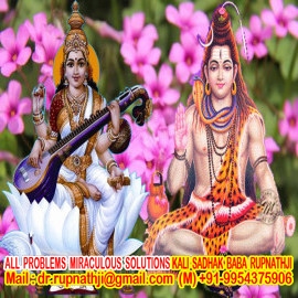 vedic astrology tantra solutions by tantrik astrologer dr rupnath ji