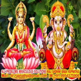 vedic astrology tantra solutions by worlds no 1 astrologer tantrik vastu expert numerologist