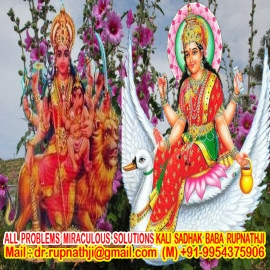 worlds no 1 astrologer tantrik numerologist vastu expert